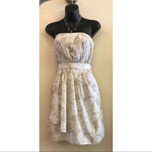 NWT Express Floral Dress size: 2